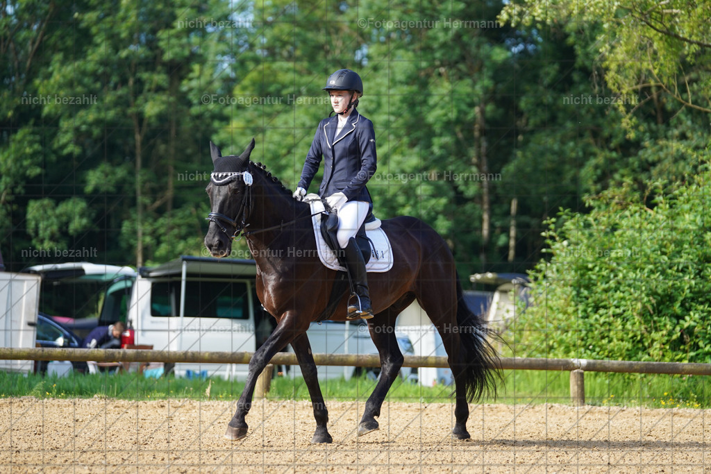 20240706-FAH04425 | Grafing Turnierfotos, Reitverein Ebersberg, Turnierfotografen Bayern, reitsportbilder, Pferdefotograf, reitsportfotograf, Sportbilder, Reitsportfotografie, Fotoagentur Herrmann, Turnierfotograf
