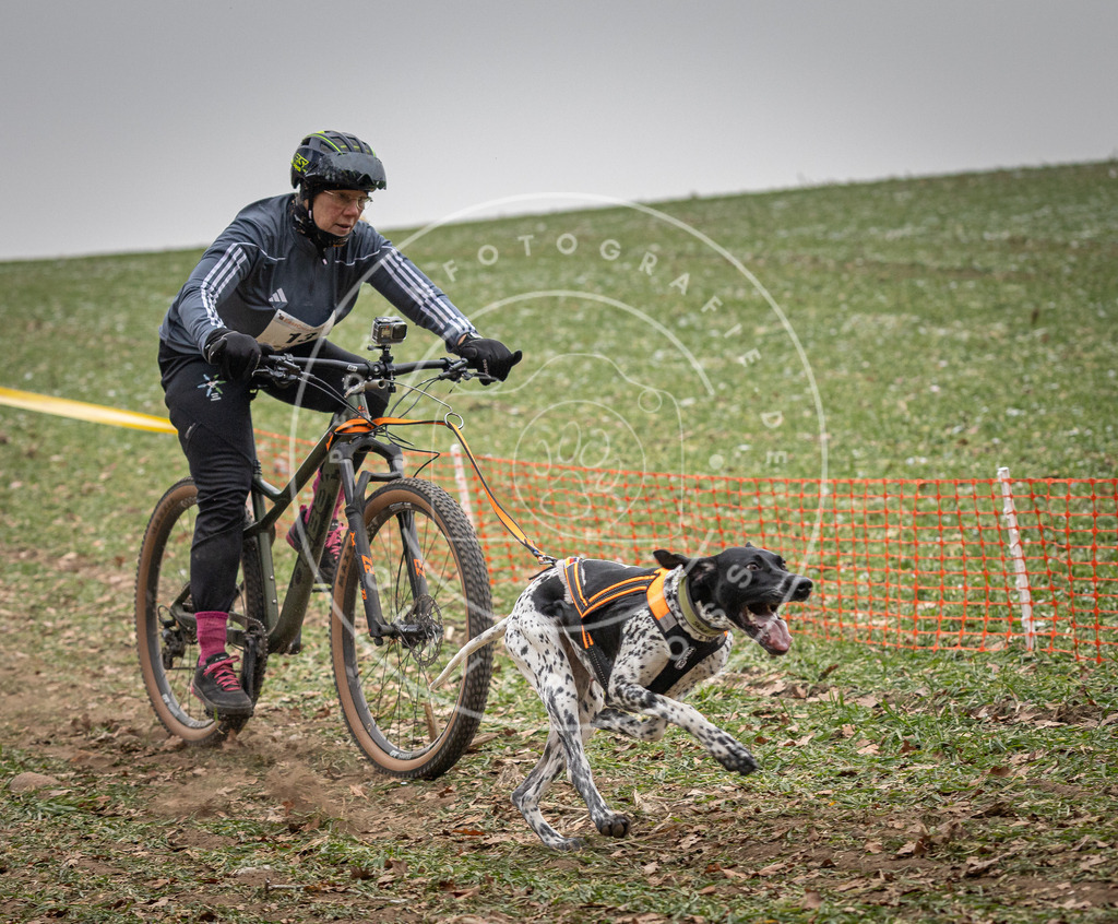 Pfotenfotografie_DV3A2458 | Hundefotografie, Tierfotograf, Pfotenfotografie, Fotoshooting Hund, Hunde Portrait, Hundesport, Hundeportraits, Heideshooting, Hunde, Sportfotograf, Hundefotograf, Turnierhundsport, THS,  - Realisiert mit Pictrs.com
