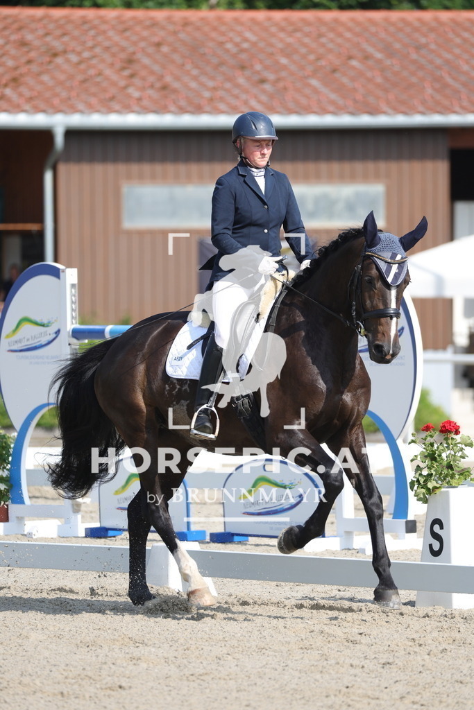 0P6A4555 | Willkommen bei Brunnmayr - Design & Fotografie – Ihrem Spezialisten für Reitturniere und Pferdeveranstaltungen in Oberösterreich, Salzburg und Bayern! Seit über 17 Jahren sind wir leidenschaftlich dabei.