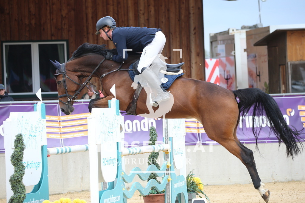 DL2Q1947 | Willkommen bei Brunnmayr - Design & Fotografie – Ihrem Spezialisten für Reitturniere und Pferdeveranstaltungen in Oberösterreich, Salzburg und Bayern! Seit über 17 Jahren sind wir leidenschaftlich dabei.