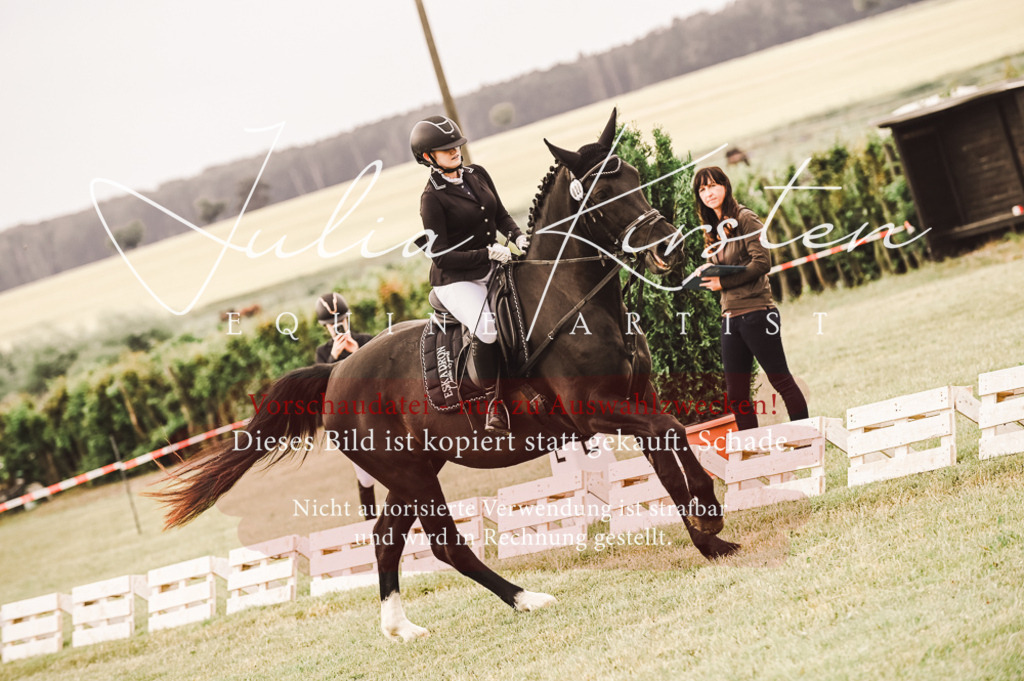DSC_4936 | Pferde- und Turnierfotografie in Westsachsen. Pferdeportraits, Auftragszeichnungen und intuitive Kunst.