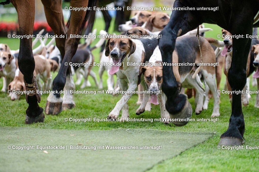 20250606_Lange-Pferdenacht_0543 | Foto: Thomas Hartig