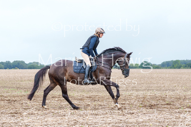 Jagd Perdoel 26 Sony-03342_MarinaHewig | Fotografie, FotoArt, PferdesportArt, Pferdesportfotografie, Landschaftsfotografie, Reisefotografie, Reise, Pferde - Realisiert mit Pictrs.com