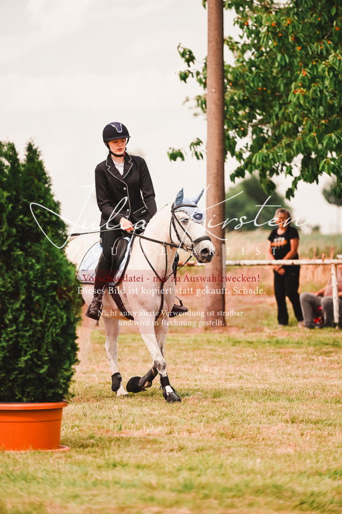 DSC_6945 | Pferde- und Turnierfotografie in Westsachsen. Pferdeportraits, Auftragszeichnungen und intuitive Kunst.