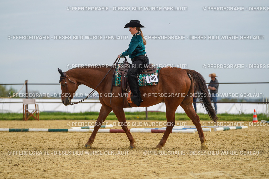 DSC03673 | Pferdegrafie