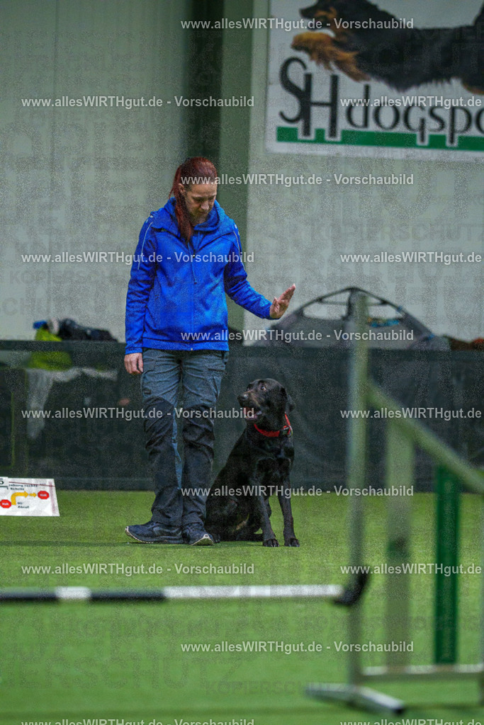 7R504132 | Professionelle Tierfotografie in Mönchengladbach von Daniel Wirth (allesWIRTHgut). Liebevolle & natürliche Bilder von Hunden & Katzen für unvergessliche Erinnerungen.