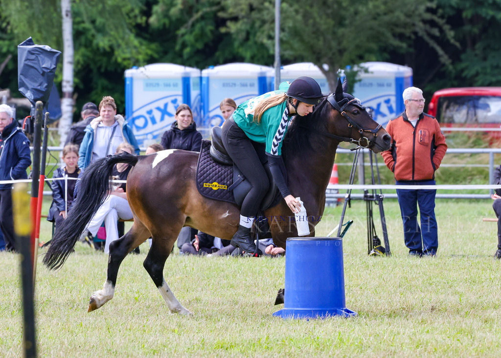 1B3A2460 | Reitsport Reiten