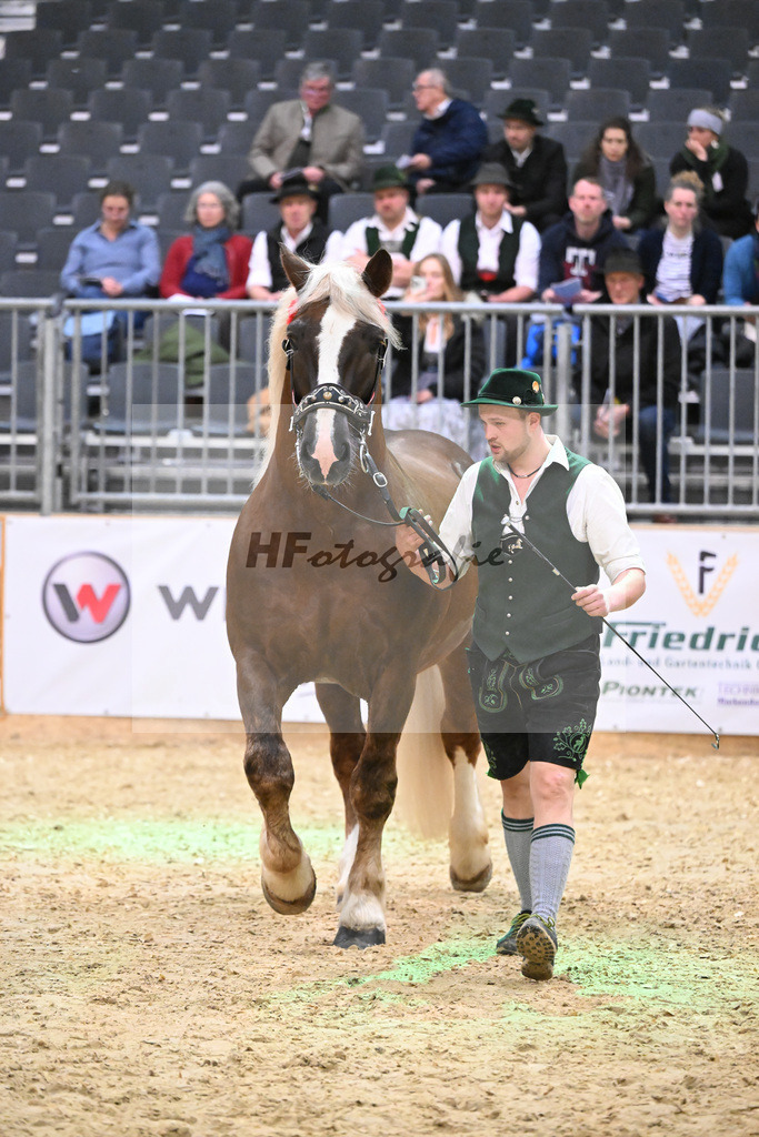 Kat-Nr. 4 Valverde S v. Valdano_Schelle_1260061 | hf-fotografie - Realisiert mit Pictrs.com