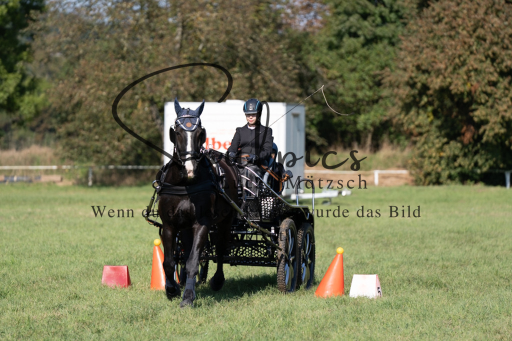 A7V04356 | Pferdefotograf