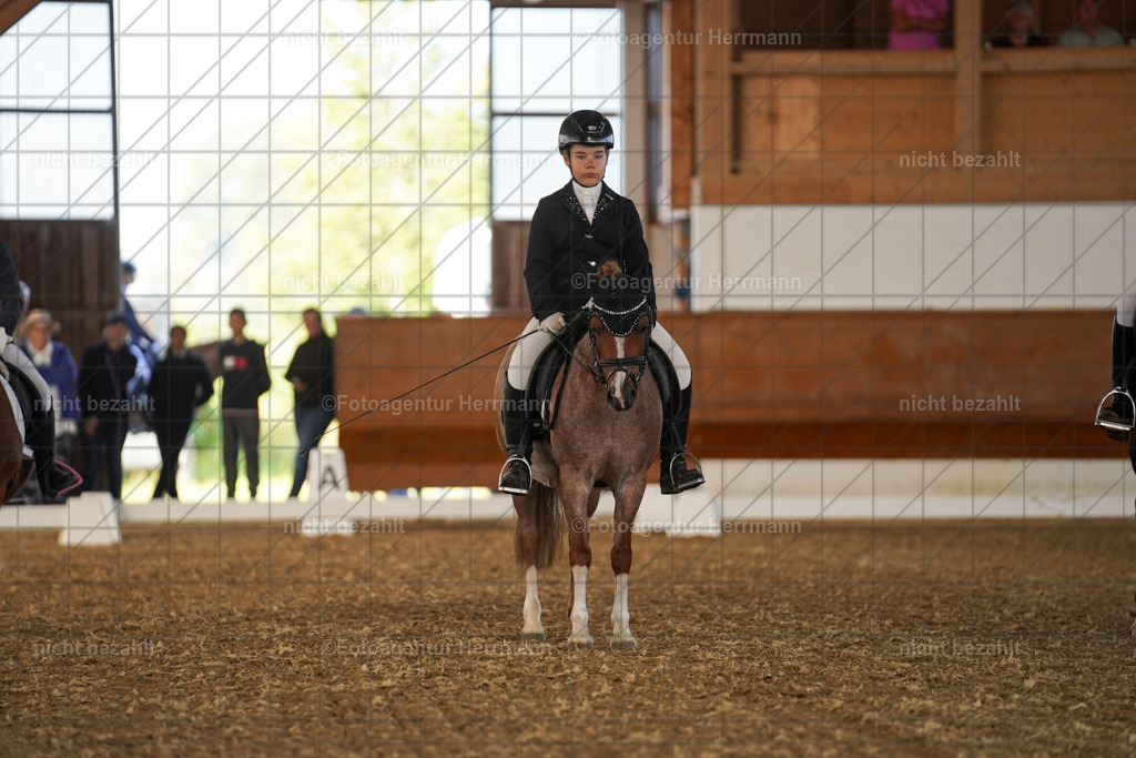 20240824-FAH07018 | Thierhaupten 2024, Bayerisches Landesponyturnier, Turnierbilder, Ponybilder, Turnierfotografen Bayern, Fotoagentur Herrmann