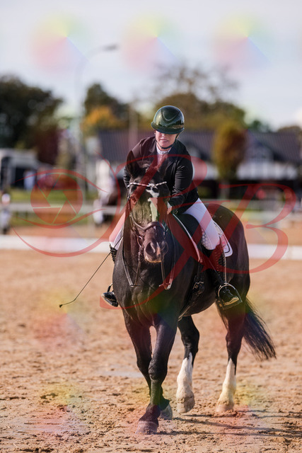 2026_10_03_Siefer-Hof_131954_Z81_70699210 | Professionelle Reitsport-, Turnier- und Eventfotografie von Robert Broda. Galerien mit ausgewählten und bearbeiteten Bildern direkt online ansehen und bestellen.