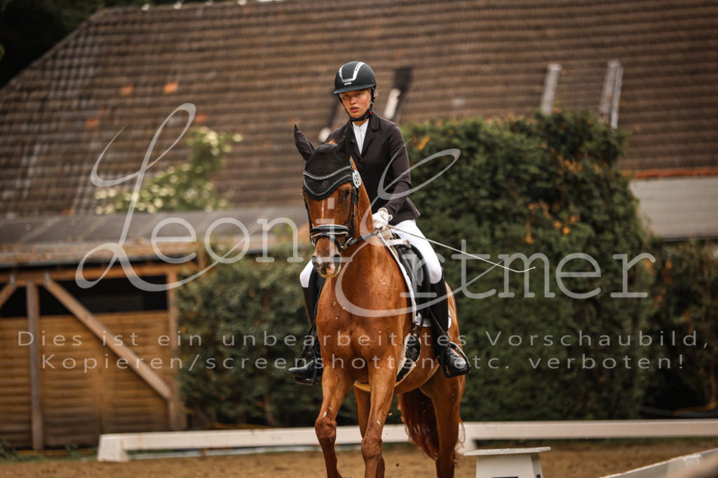 DoDrA200014 | Leoni Ertmer Photography - Realisiert mit Pictrs.com