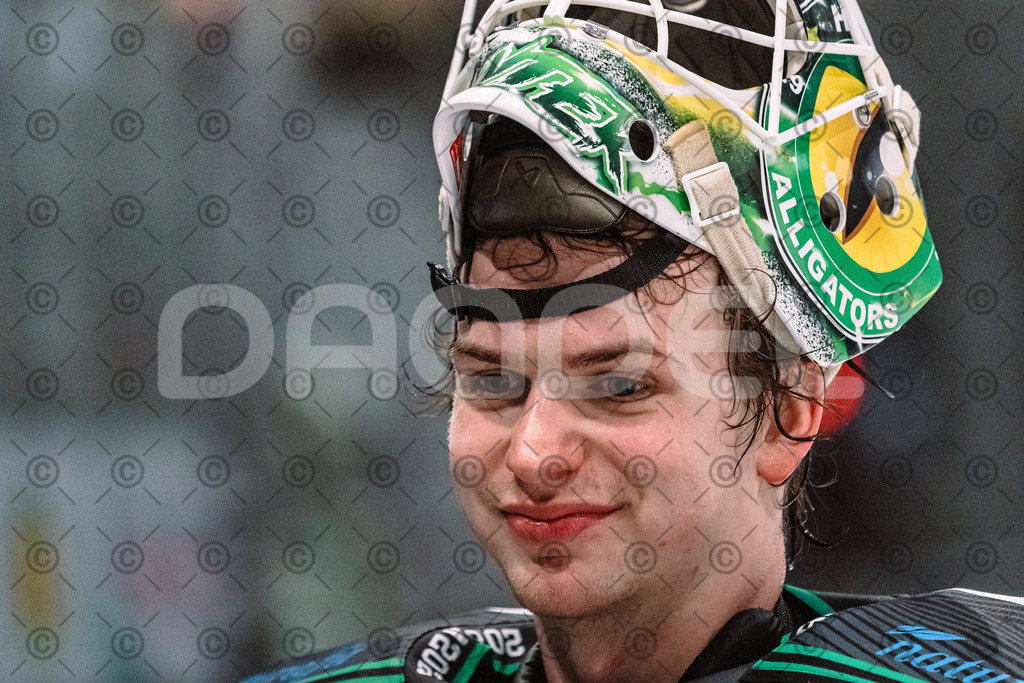 Alligators_vs_Lindau_20_02_2026-69 | Höchstadt Alligators Fotogalerie: Eishockey-Action aus Franken. Professionelle Spielfotos, Portraits & Stadionbilder zum Download. Jetzt entdecken! - Realized with Pictrs.com