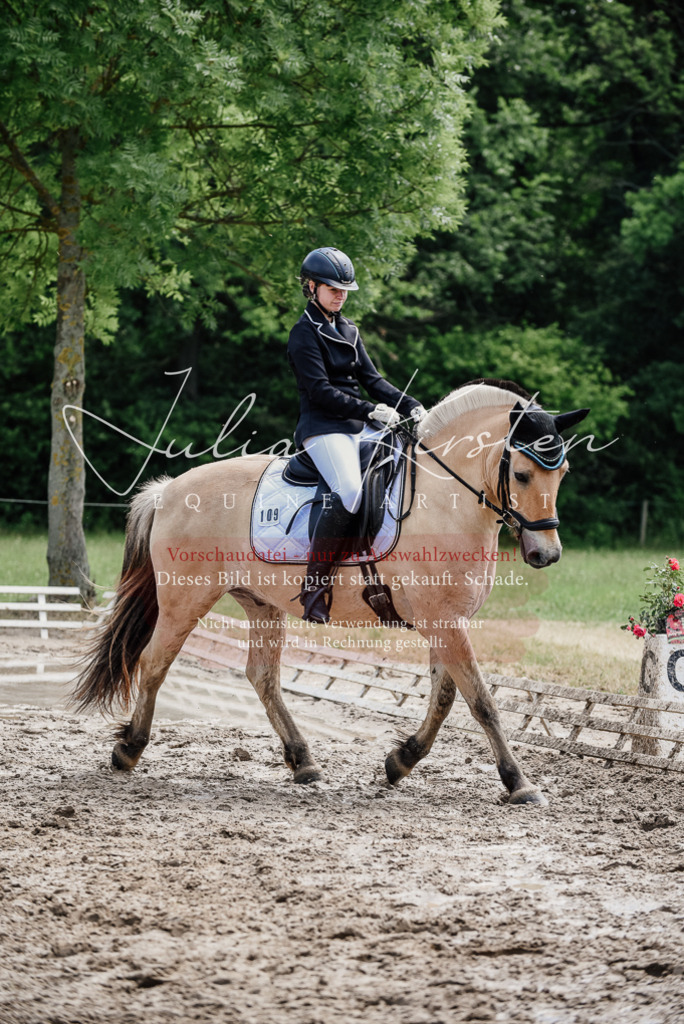 DSC_1625 | Pferde- und Turnierfotografie in Westsachsen. Pferdeportraits, Auftragszeichnungen und intuitive Kunst.