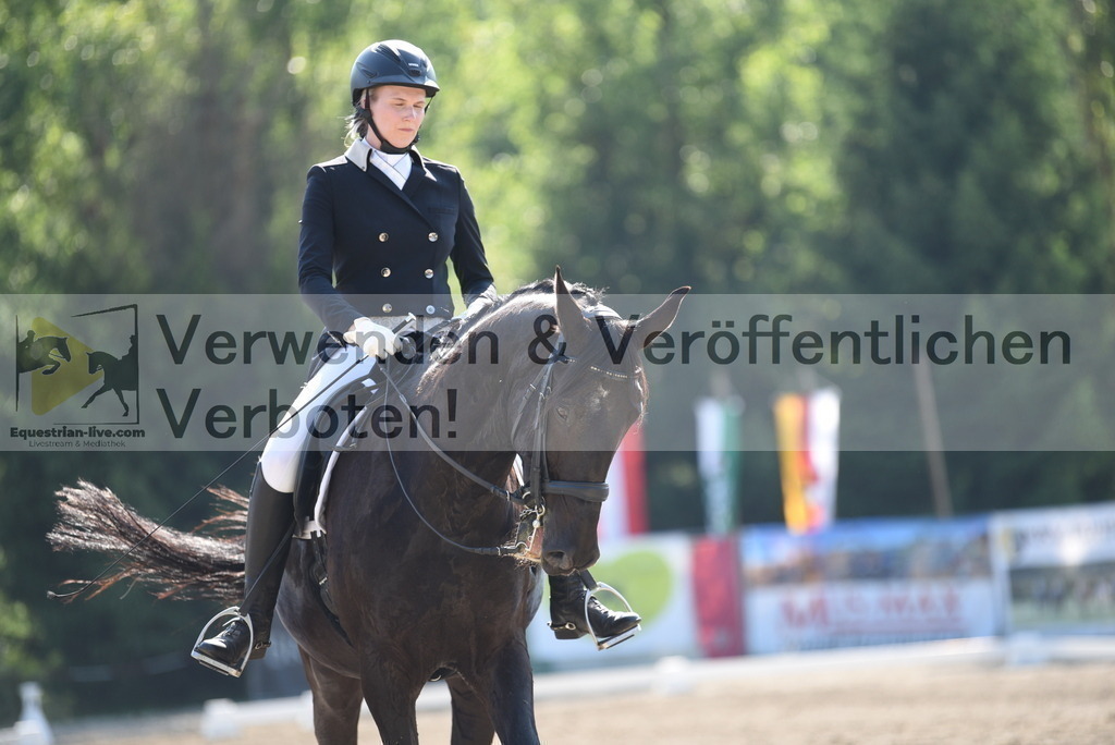 DSC_2337 | equestrian-live-com