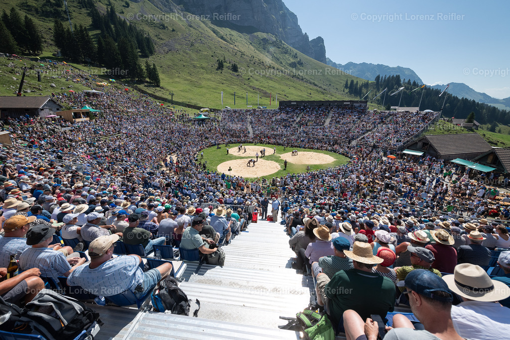 Schwingen -  Schwägalpschwinget 2023 | Schwägalp, 20.8.23, Schwingen - Schwägalpschwinget.