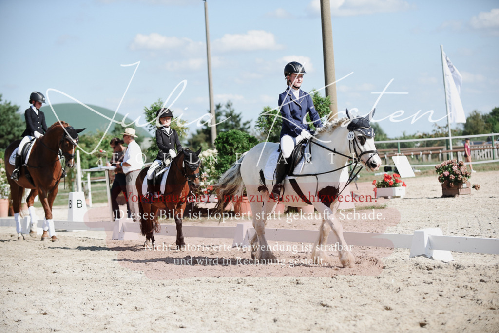 DSC_0145 | Pferde- und Turnierfotografie in Westsachsen. Pferdeportraits, Auftragszeichnungen und intuitive Kunst.