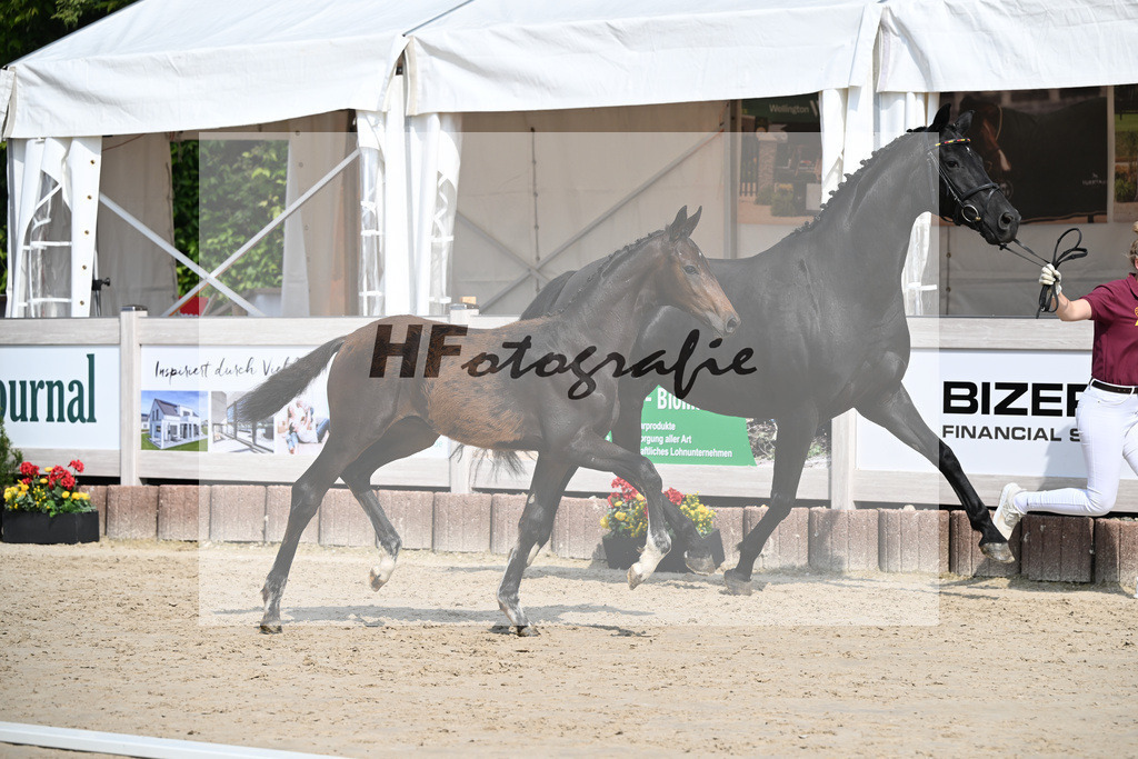 Escaneno x Ganymedes_HF_Amann_12250186 | hf-fotografie - Realisiert mit Pictrs.com