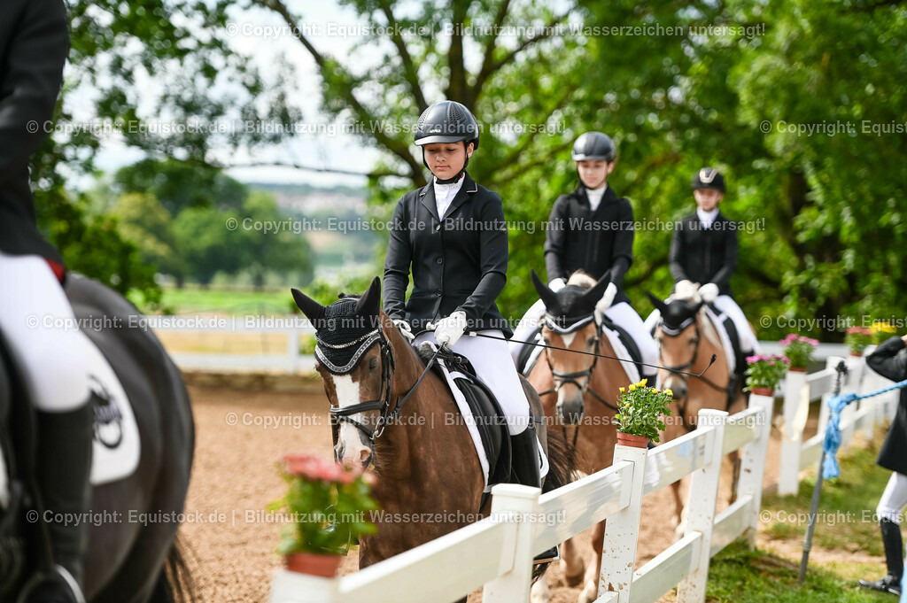 20230716_10-1_Reiter-WB Schritt - Trab - Galopp_0074 | equistock