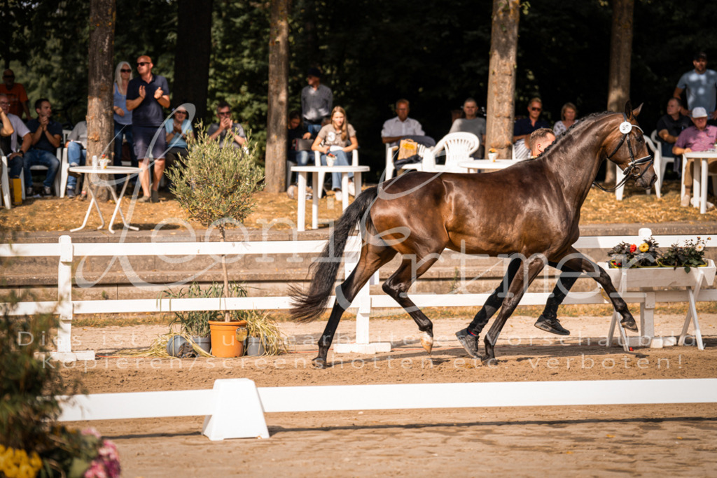 FrER00184 | Leoni Ertmer Photography - Realisiert mit Pictrs.com