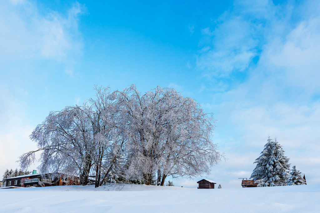 Landschaft im Winter im Thüringer Wald in der Nähe von Schmiedefeld am Rennsteig | Landschaft im Winter im Thüringer Wald in der Nähe von Schmiedefeld am Rennsteig.