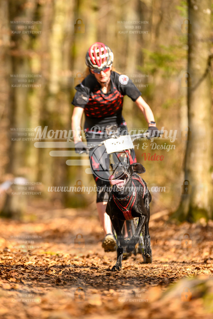 MompixPhotography_Habay2025_SA_SCO-22 | PayLife