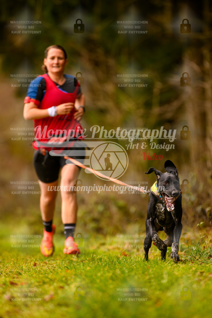 MompixPhotography_2SSTSSBW_2025_SO_Canicross-2 | PayLife