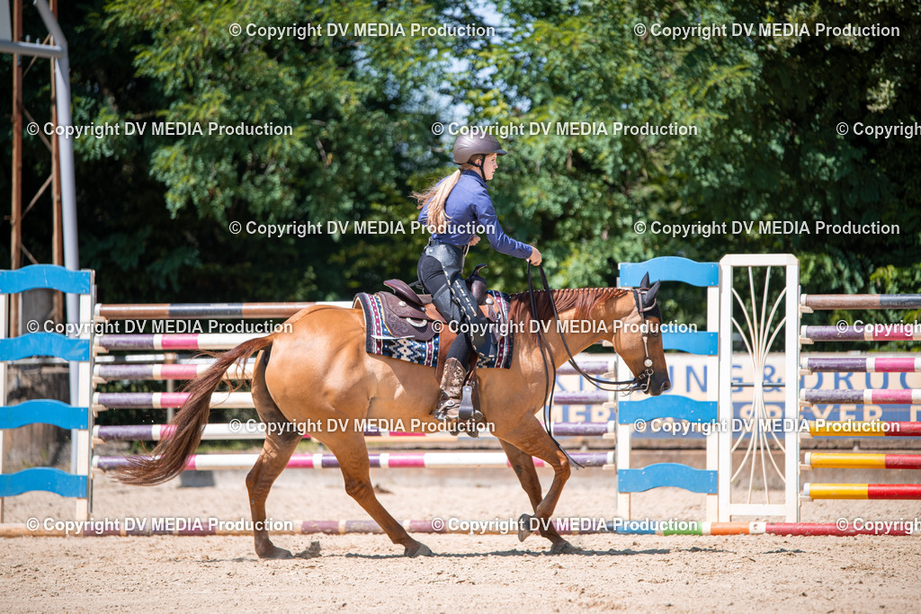 ZS1_1303 | dv-media-shop - Realisiert mit Pictrs.com