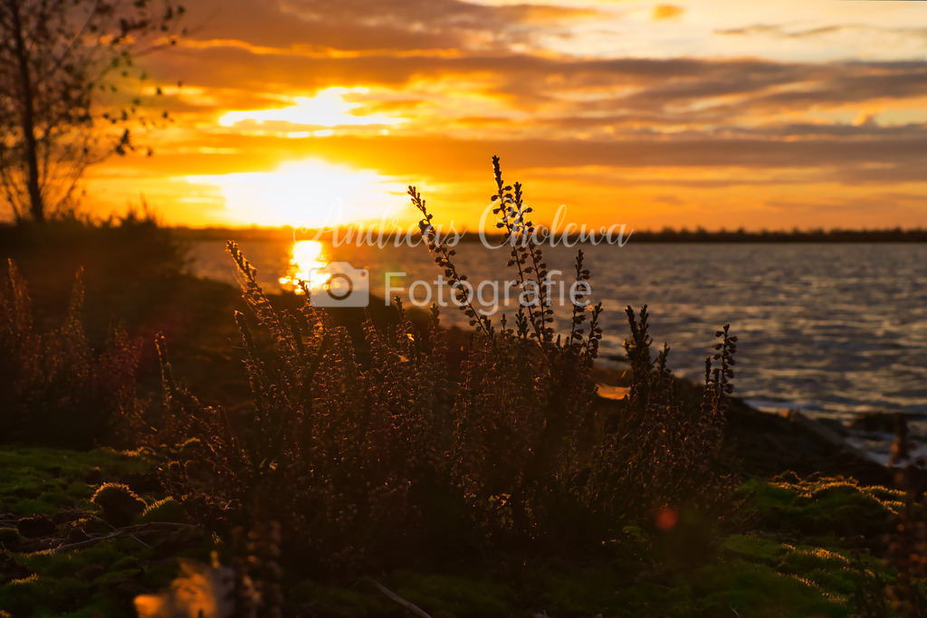 Sonnenaufgang im südlohner Moor | Der Onlineshop für malerische Fotografien aus dem Landkreis Vechta✅ Premium Druck auf Leinwand✅ Acryl✅ oder Alu-Dibond✅➤Jetzt Bestellen! - Realisiert mit Pictrs.com