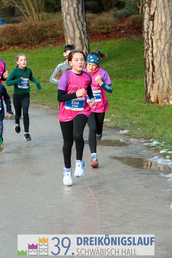 39. 3Koenigslauf 2025 | 20250106_3koenigslauf - Realisiert mit Pictrs.com