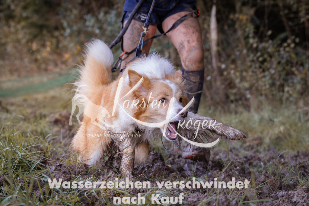 1004_ZZ94759 | kk-dogfotos