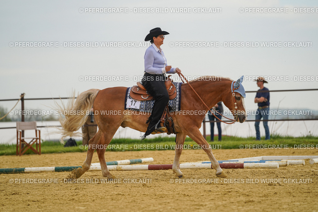 DSC02462 | Pferdegrafie