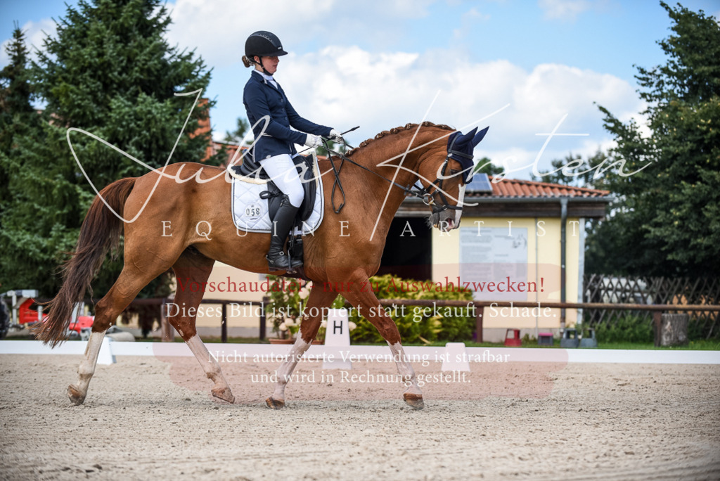 DSC_9361 | Pferde- und Turnierfotografie in Westsachsen. Pferdeportraits, Auftragszeichnungen und intuitive Kunst.