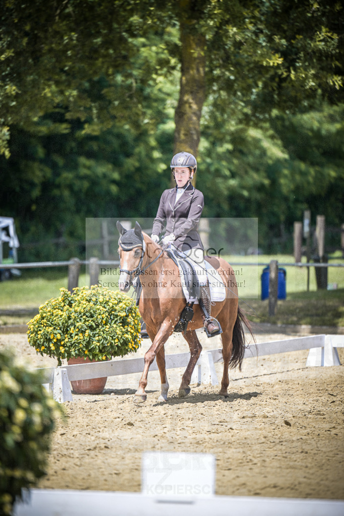 DOS_2621 | Entdecke hochwertige Reitturnierfotos von Foto Oger. Professionell, emotional und authentisch – jetzt Lieblingsmomente im Shop bestellen.Deutschlandweite Turnierfotografie. - Realisiert mit Pictrs.com