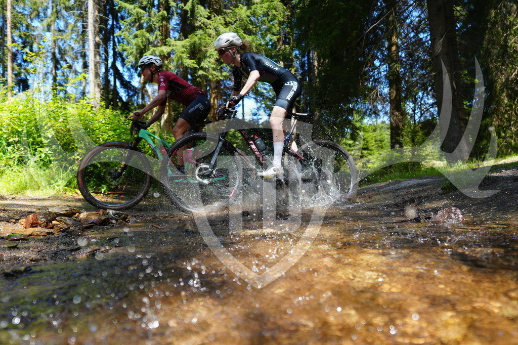FC605035 | Fotogalerie der Treibjagd im Dunkelwald - Dein MTB Etappenrennen im Erzgebirge - Realisiert mit Pictrs.com