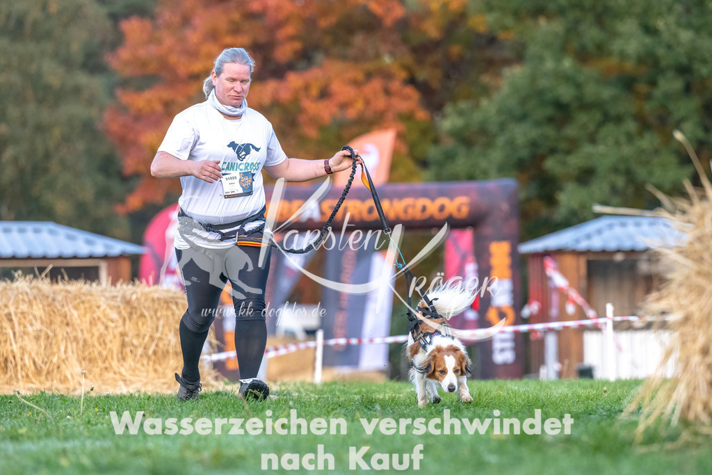 0814_ZZ94892-Bearbeitet | kk-dogfotos