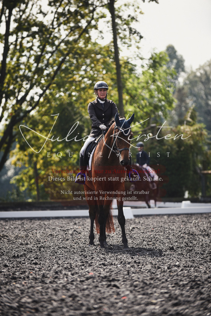 DSC_3654 | Pferde- und Turnierfotografie in Westsachsen. Pferdeportraits, Auftragszeichnungen und intuitive Kunst.