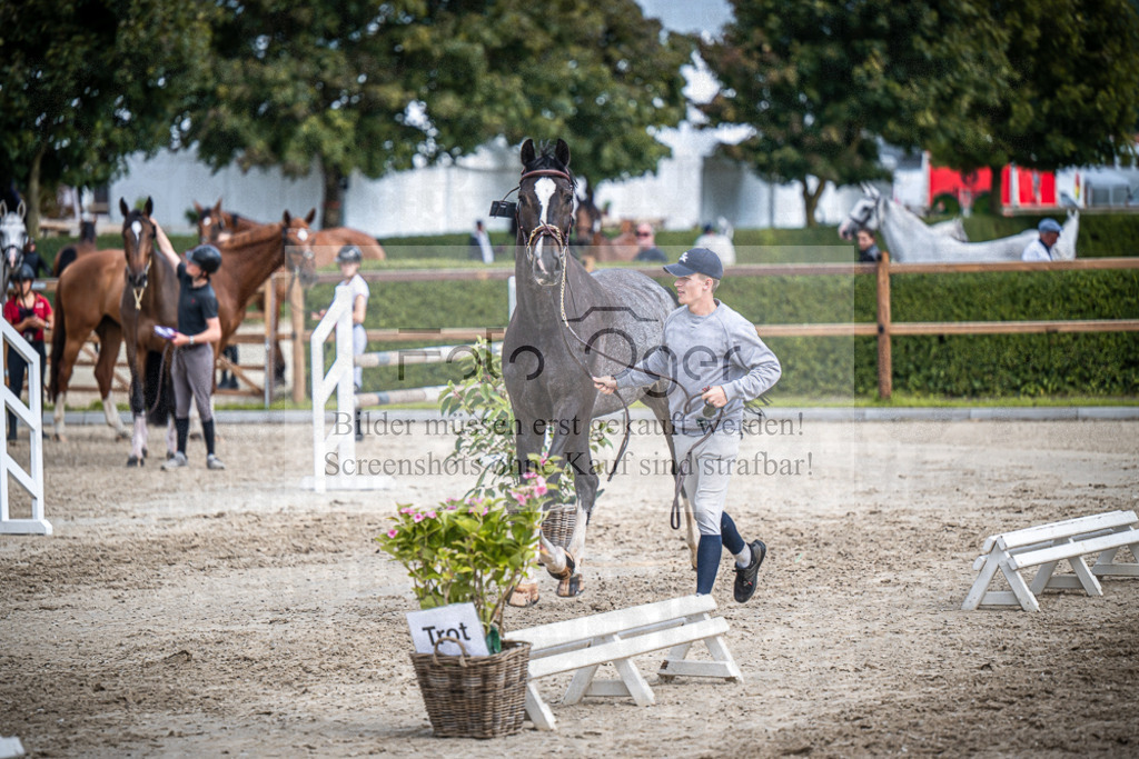 DOS_0600 | Entdecke hochwertige Reitturnierfotos von Foto Oger. Professionell, emotional und authentisch – jetzt Lieblingsmomente im Shop bestellen.Deutschlandweite Turnierfotografie. - Realisiert mit Pictrs.com