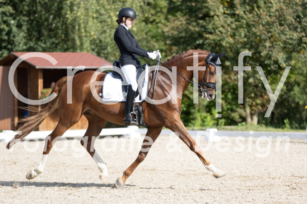 IMG_3136 | Creatify Fotografie