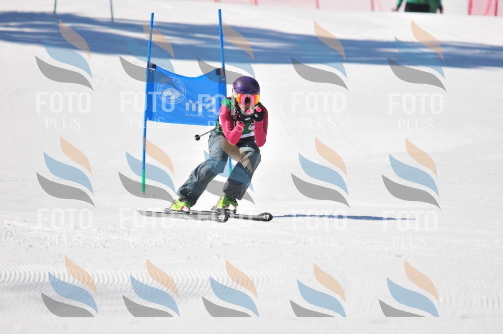 C4118 | holidayphoto