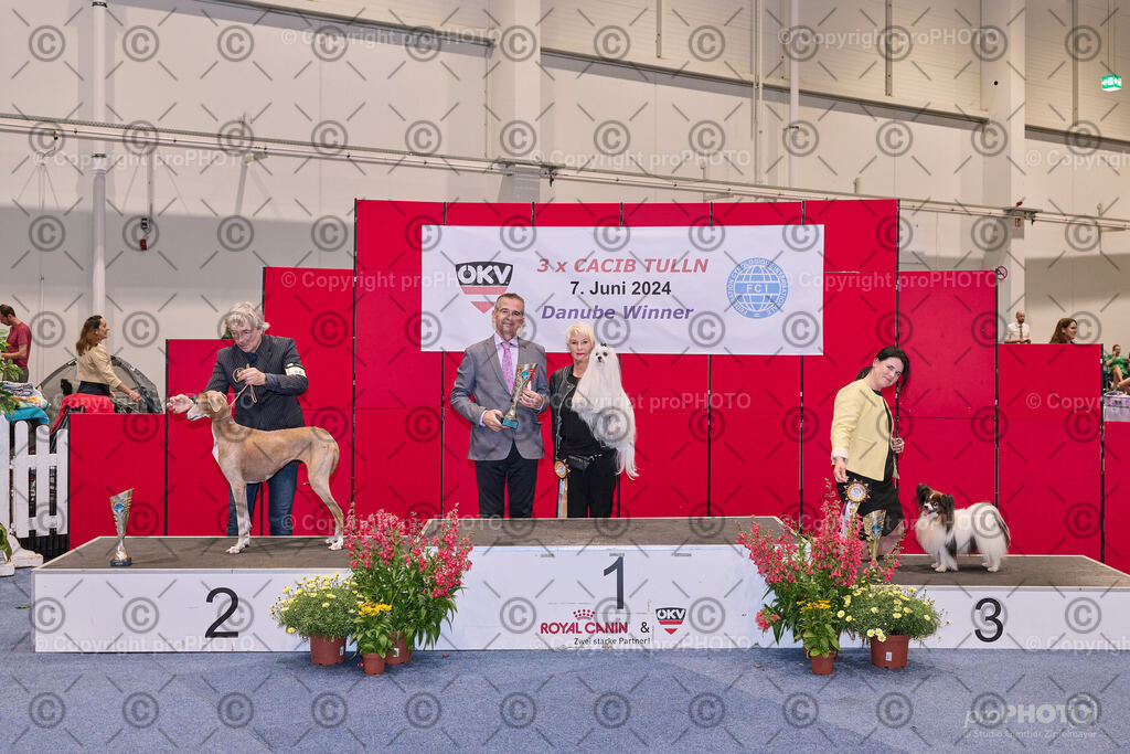 202406_ÖKV-IHA-Tulln24_NZ9_7785 | proPHOTO - Realisiert mit Pictrs.com