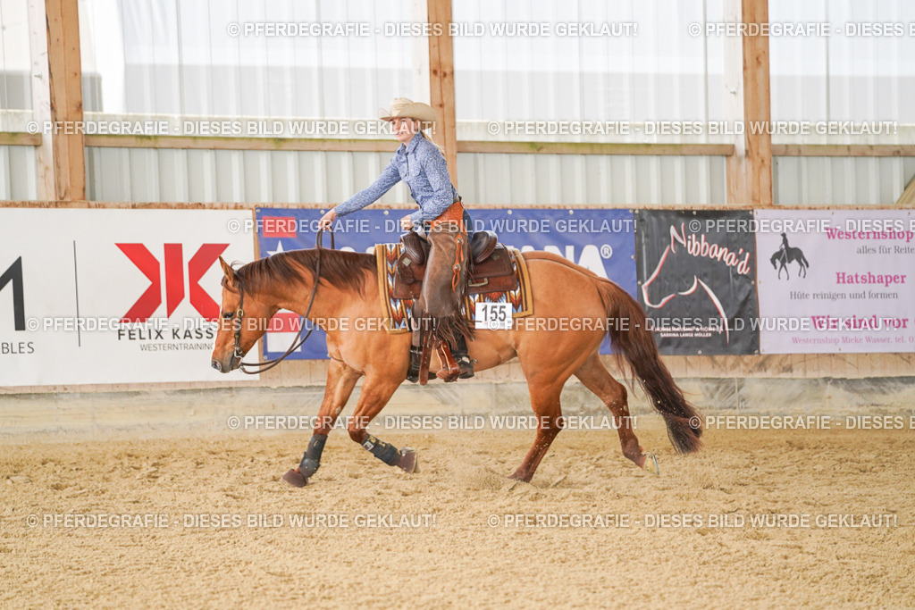 DSC01573 | Pferdegrafie