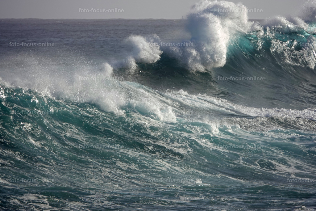 Wild Waves | Wild Waves Atlantic