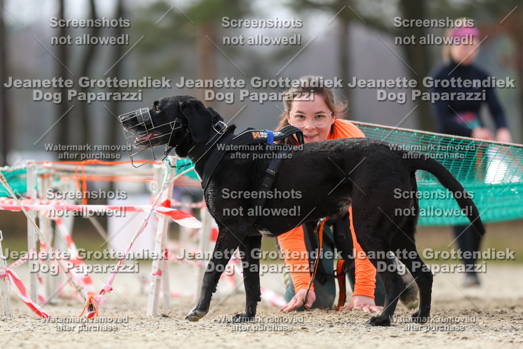 Dog Paparazzi - Strongdog North Mrz26-5226 | Dog Paparazzi Jeanette Grottendiek Fotografie & Videografie - Realisiert mit Pictrs.com