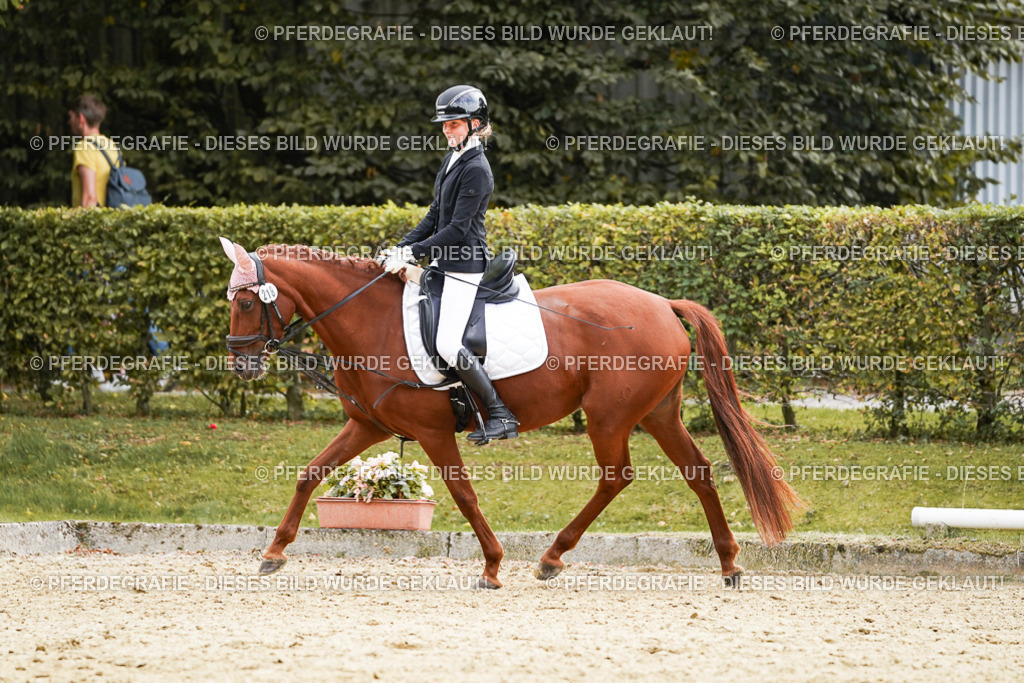 DSC00837 | Pferdegrafie