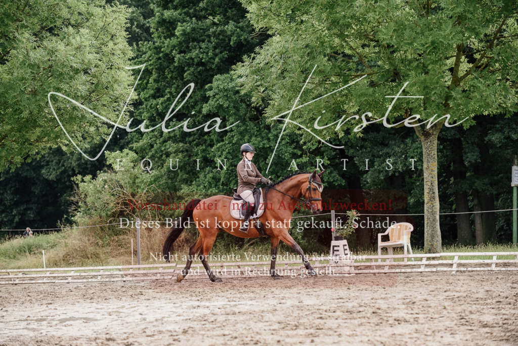 DSC_9541 | Pferde- und Turnierfotografie in Westsachsen. Pferdeportraits, Auftragszeichnungen und intuitive Kunst.