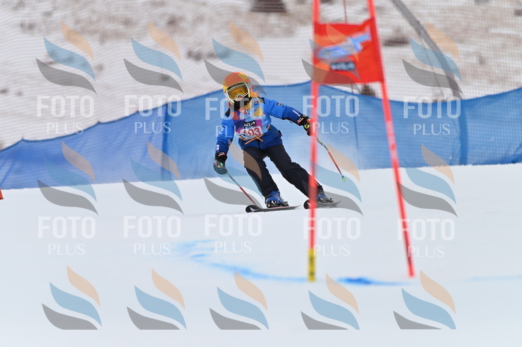 BGV_1576 | holidayphoto