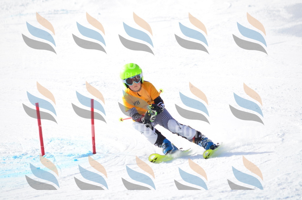 C7964 | holidayphoto