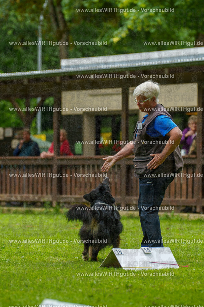 @allesWIRTHgut_Tierfotografie - www.allesWIRTHgut.de - 091455-7R506800 | Professionelle Tierfotografie in Mönchengladbach von Daniel Wirth (allesWIRTHgut). Liebevolle & natürliche Bilder von Hunden & Katzen für unvergessliche Erinnerungen.