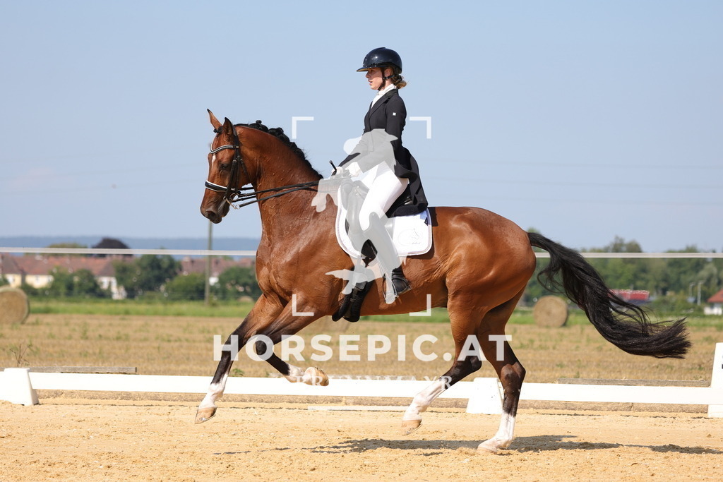 0P6A7971 | Willkommen bei Brunnmayr - Design & Fotografie – Ihrem Spezialisten für Reitturniere und Pferdeveranstaltungen in Oberösterreich, Salzburg und Bayern! Seit über 17 Jahren sind wir leidenschaftlich dabei.